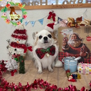 After アニマー湯! 12/20