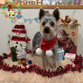 After trimming! 12/22