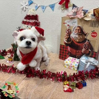 After アニマー湯! 12/14