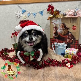 After アニマー湯! 12/15