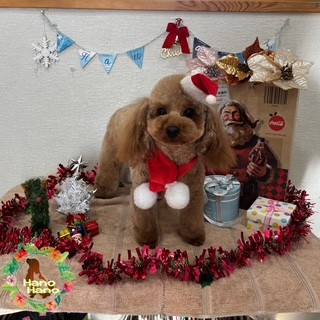 After アニマー湯! 12/18