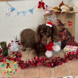 After アニマー湯! 12/18