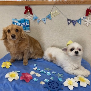 ゴールド君&マル君!