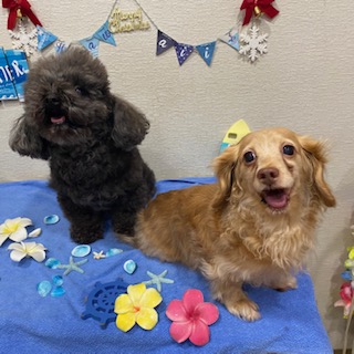 かい君&りんちゃん!