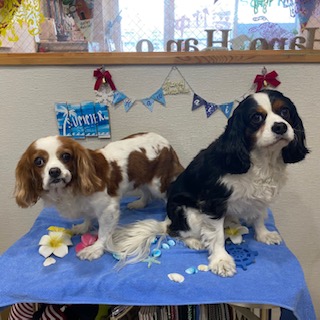 ひまわりちゃん&海君!