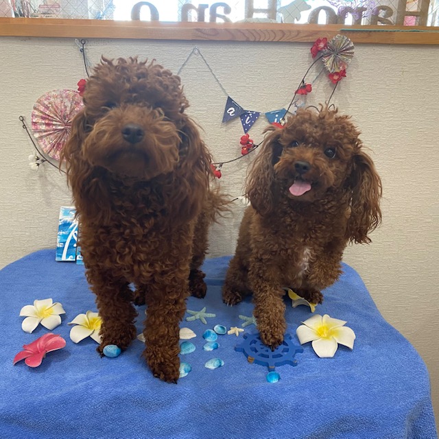 凛ちゃん&結ちゃん!