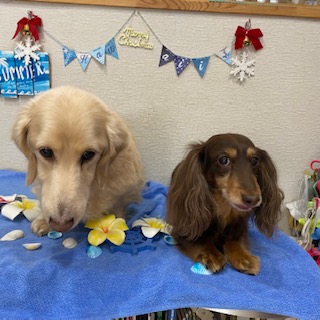 リアン&ロア君!