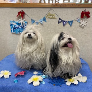 凛々&桃夏ちゃん!