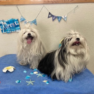 凛々ちゃん&桃夏ちゃん!