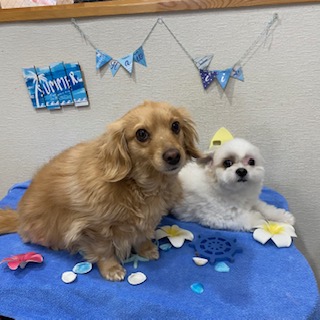 ゴールド君&マル君!