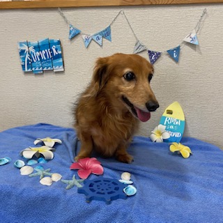 After trimming! 1/28