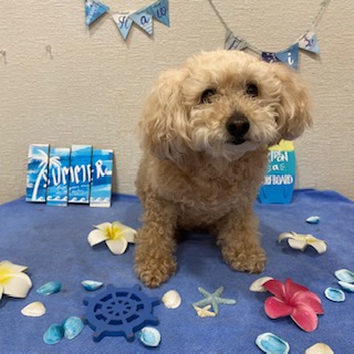 ジェシーちゃん!