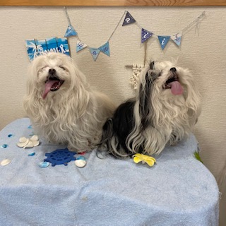 凛々&桃夏ちゃん!