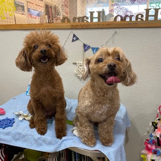 キャブ君&さくらちゃん!