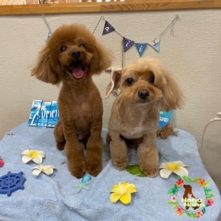 After trimming! 4/12