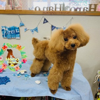 After trimming! 4/15