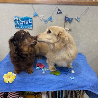 ロア君&リアン君!