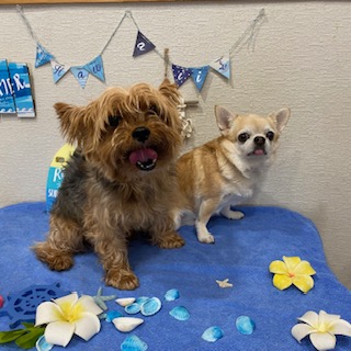 アラン君&ジョエル君!