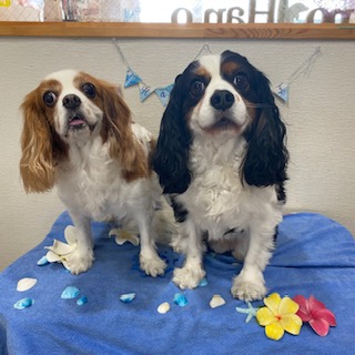 海君&ひまわりちゃん!