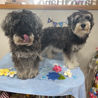 アネラ君&みらころ君!