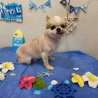 After trimming! 6/19