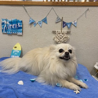 ティファニーちゃん!