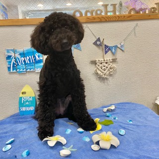 After trimming! 6/24