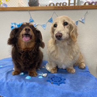 リアン君&ロア君!