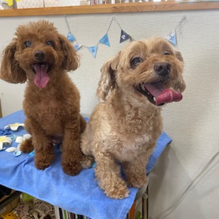 キャブ君&さくらちゃん!