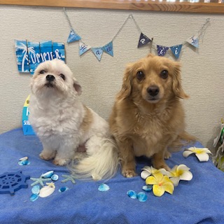 ゴールド君&マル君!