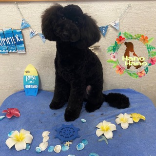 After trimming! 7/21