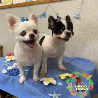 After trimming! 7/21