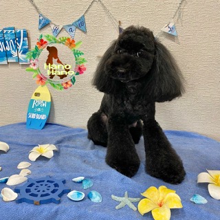 After trimming! 7/22