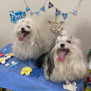 凛々&桃夏ちゃん!