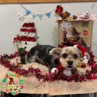 After trimming! 11/15