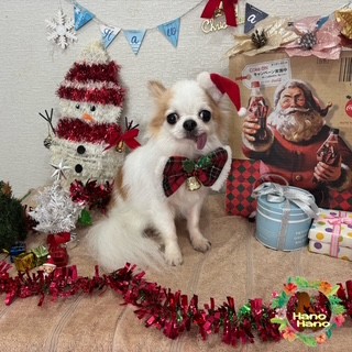 After trimming! 12/20