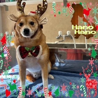 After trimming! 12/20