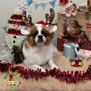 After trimming! 12/20