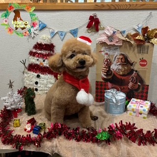 After trimming! 12/21