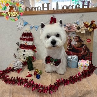 After trimming! 12/22