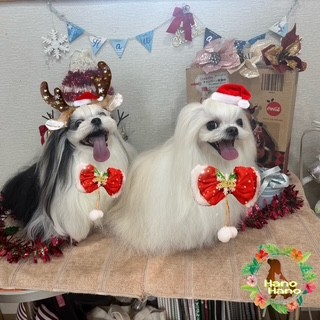 After trimming! 12/14