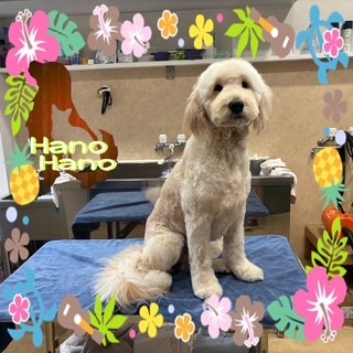 After trimming! 1/25