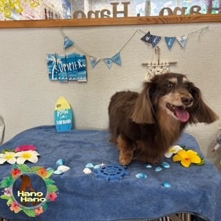 After trimming! 1/30