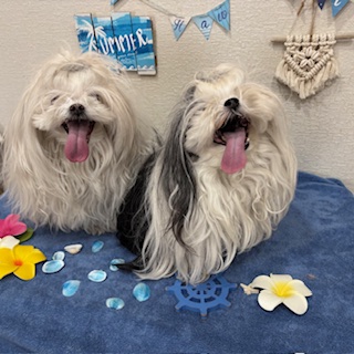 凛々&桃夏ちゃん!