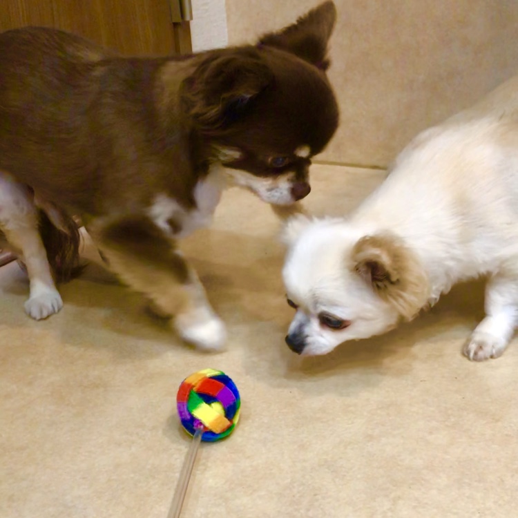 After trimming! 8/29