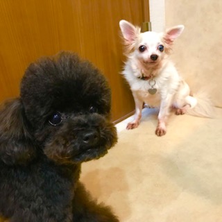 After trimming! 8/29