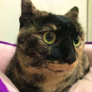 After trimming! 8/26