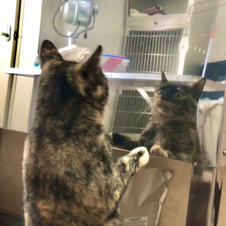 After trimming! 8/25