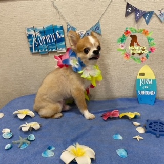 After trimming! 8/25