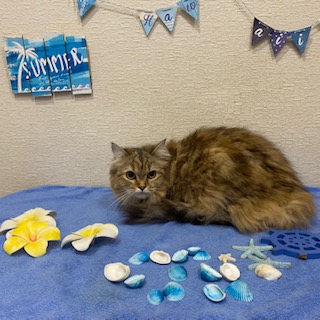 After trimming! 8/25